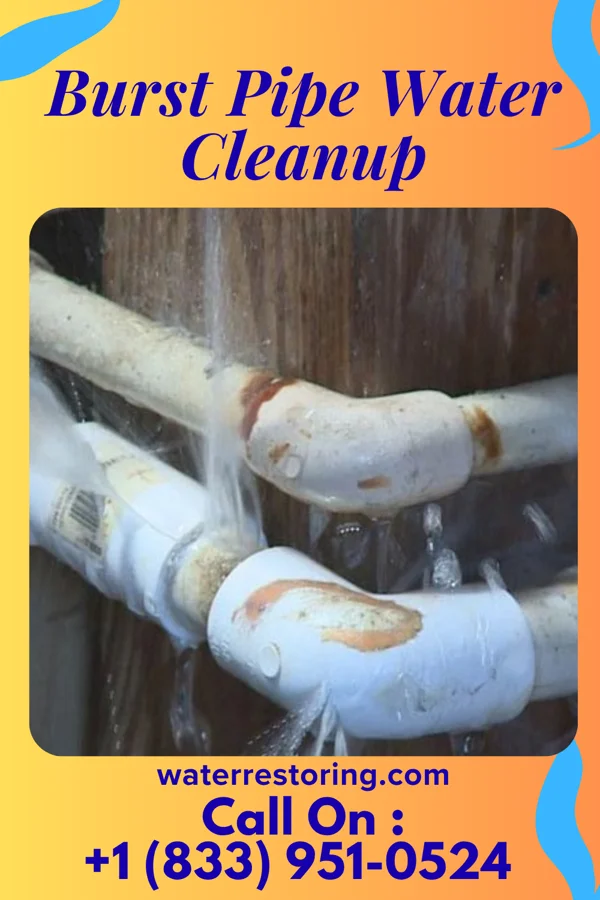 Burst Pipe Water Cleanup in Greeley, IA