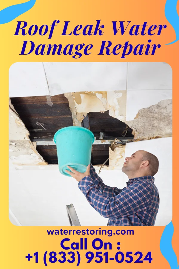 Roof Leak Water Damage Repair in Greeley, IA